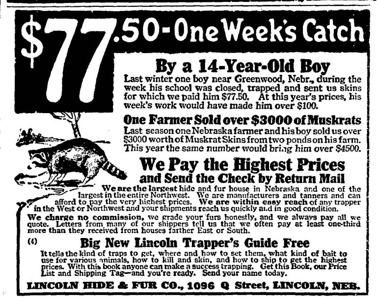 Advertisement for Lincoln Trapper's Guide